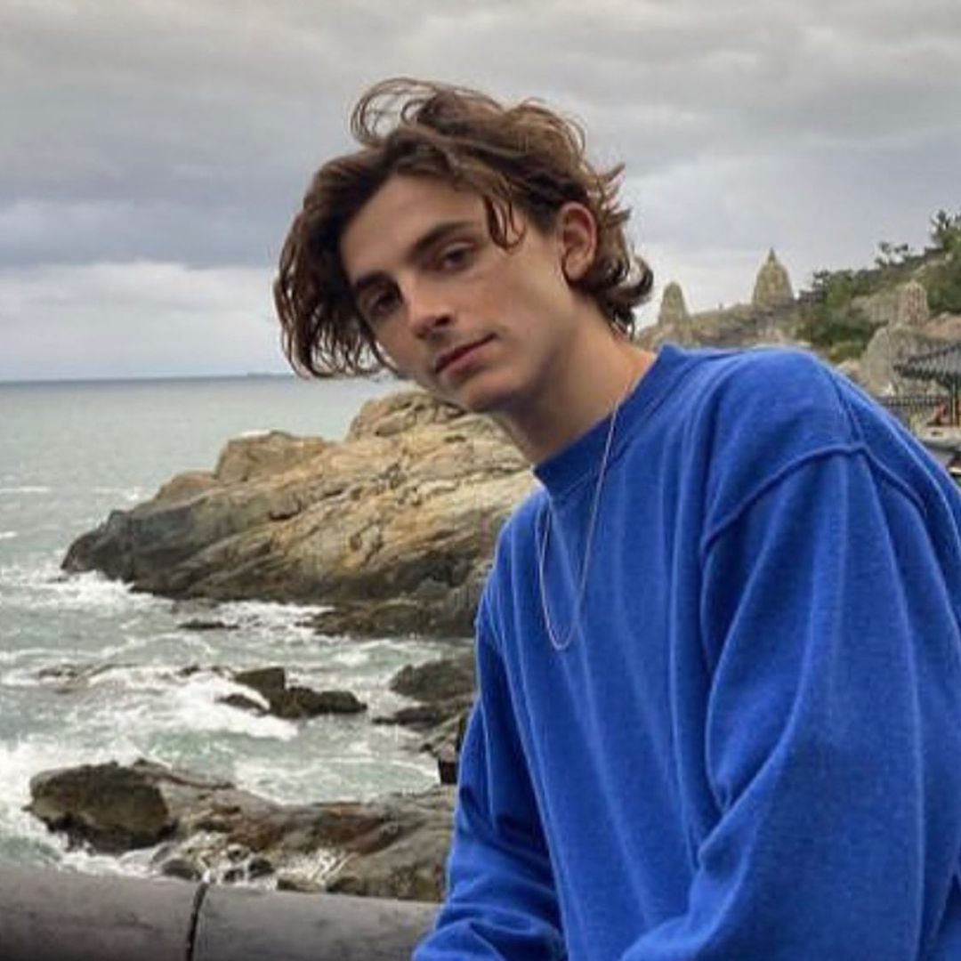 Timothee Chalamet   Age, Height, Wife, Family – Biographyprofiles