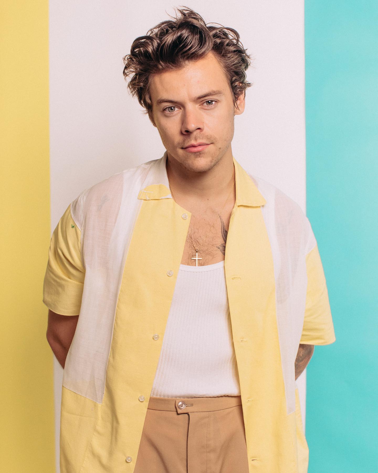 Harry Styles  Age, Height, Wife, Family – Biographyprofiles
